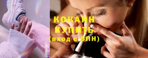 гашик Осинники