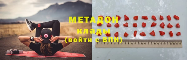 прущие грибы Пересвет
