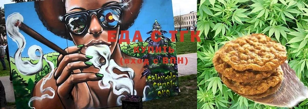 гашик Осинники