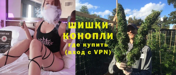 прущие грибы Пересвет