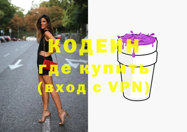гашик Осинники