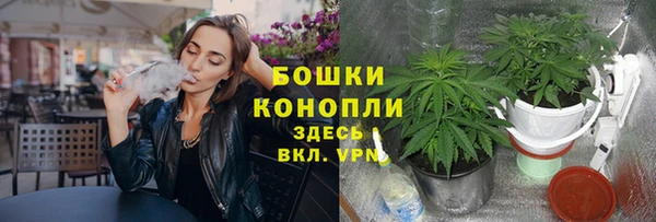 эйфоретик Переславль-Залесский