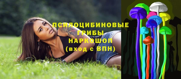 прущие грибы Пересвет