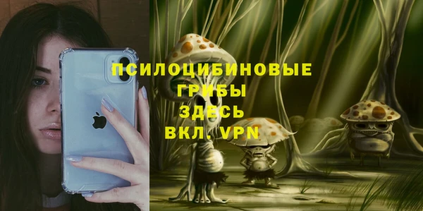 ALPHA-PVP Осташков