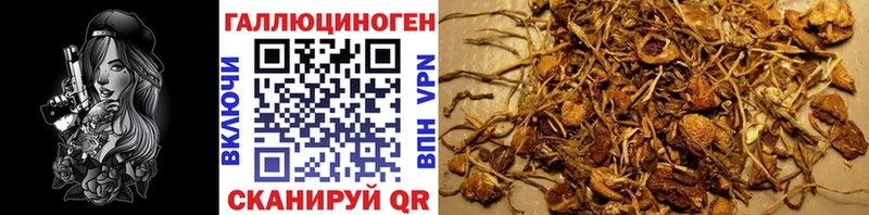 Галлюциногенные грибы мицелий где купить наркоту Лермонтов